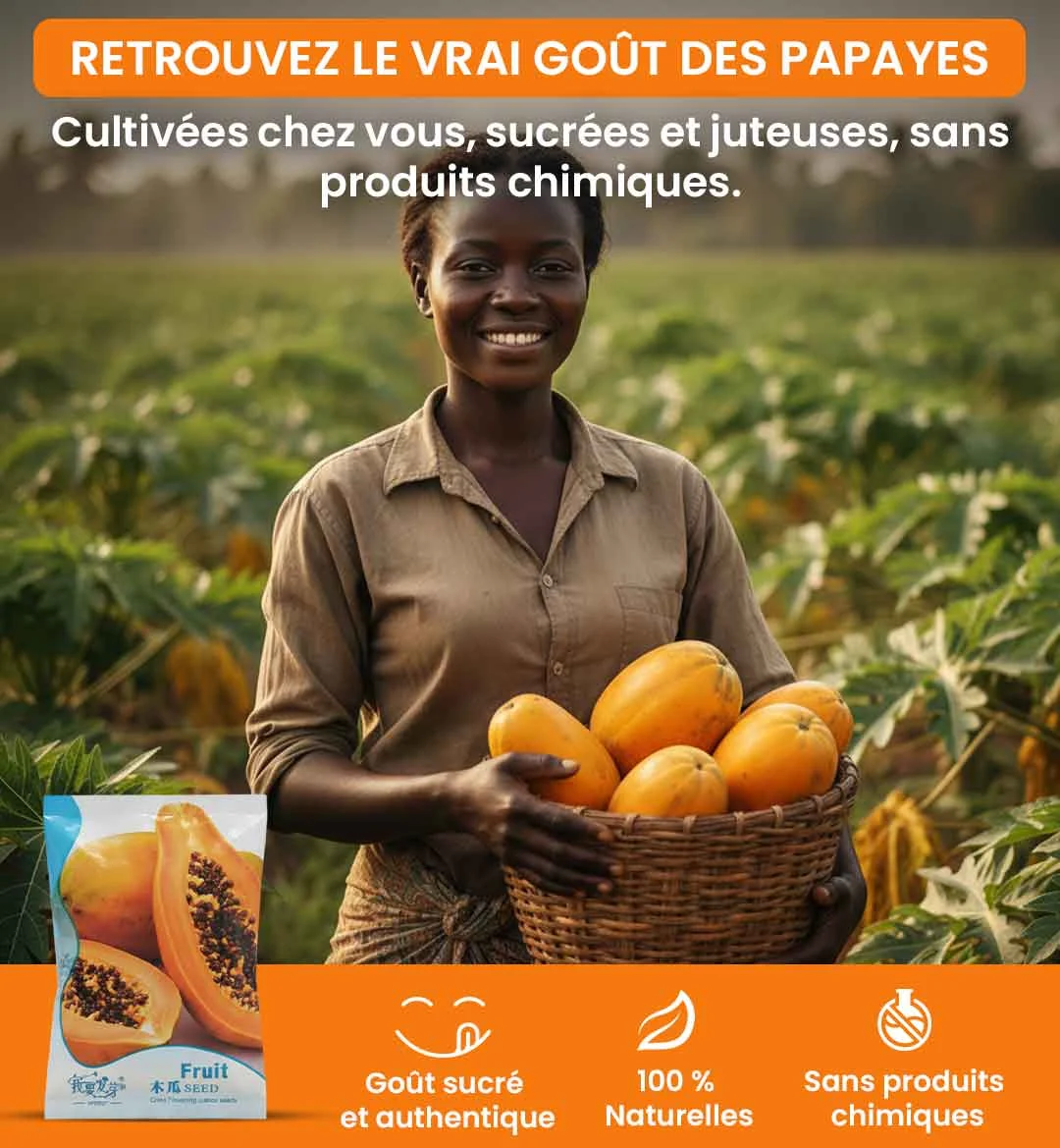 Graines de papaye